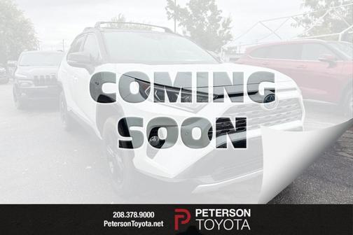 2019 Toyota RAV4 Hybrid SE