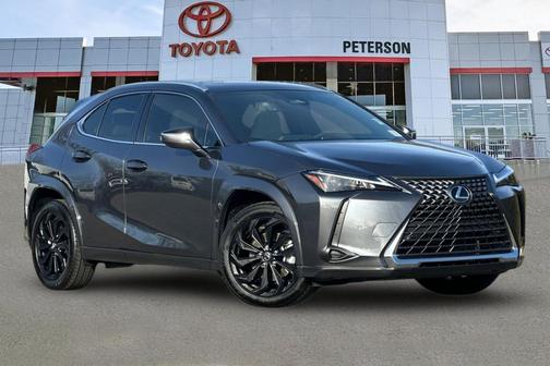 2025 Lexus UX 300h Premium