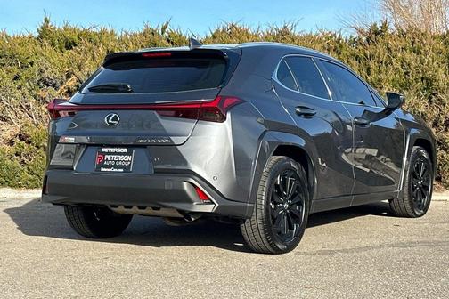 2025 Lexus UX 300h Premium