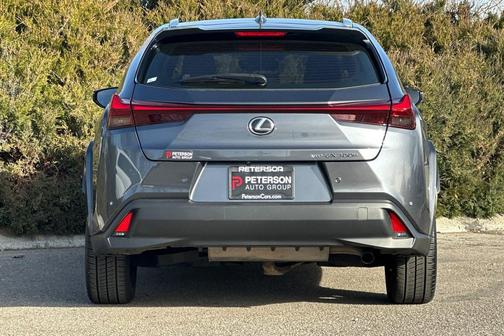 2025 Lexus UX 300h Premium