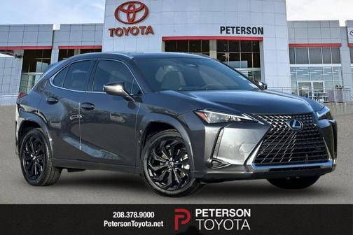 2025 Lexus UX 300h Premium