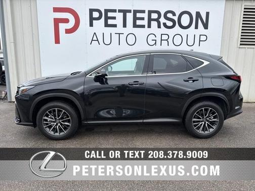 2024 Lexus NX 350h AWD