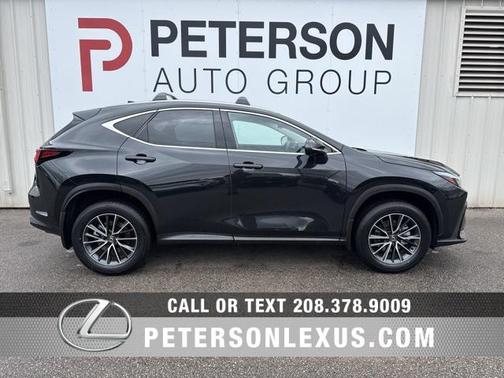 2025 Lexus NX 350h Premium