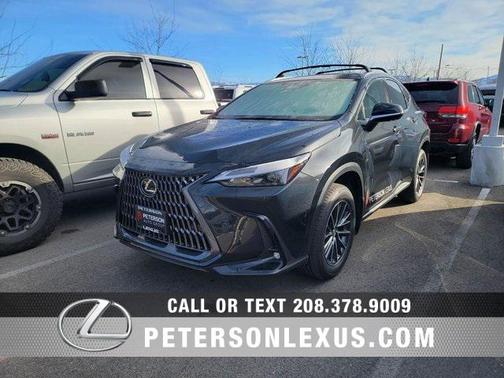 2025 Lexus NX 350h Premium