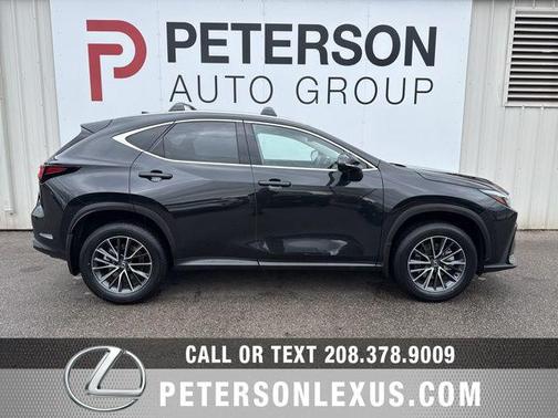 2025 Lexus NX 350h Premium