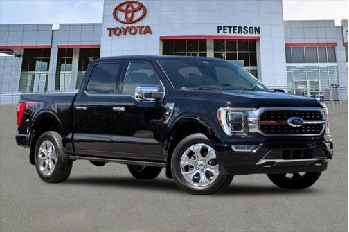 2021 Ford F-150 Platinum