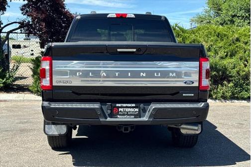 2021 Ford F-150 Platinum