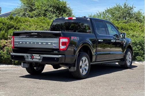 2021 Ford F-150 Platinum