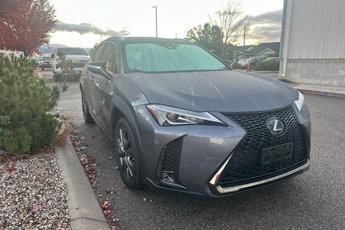 2019 Lexus UX 250h F Sport