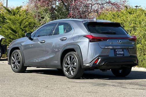 2019 Lexus UX 250h F Sport