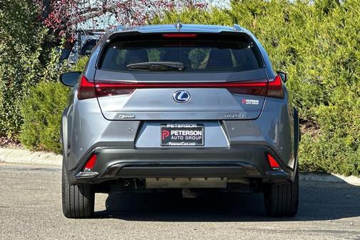 2019 Lexus UX 250h F Sport