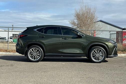2025 Lexus NX 350 Luxury