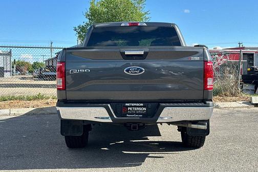 Magnetic 2017 Ford F-150 XLT