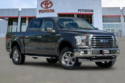 Magnetic 2017 Ford F-150 XLT