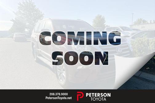 Mica 2019 Lexus GX 460 Luxury