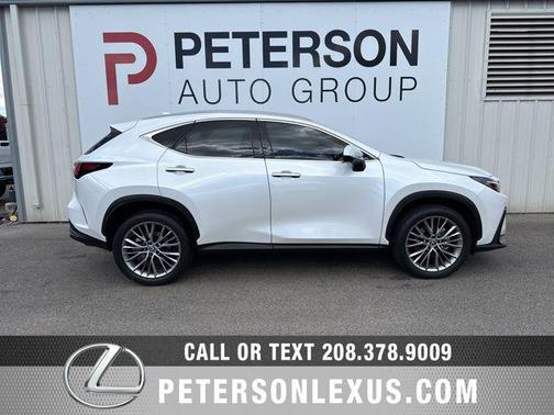 White Pearl 2024 Lexus NX 350 Luxury