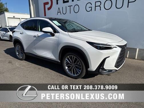 2025 Lexus NX 350 Luxury