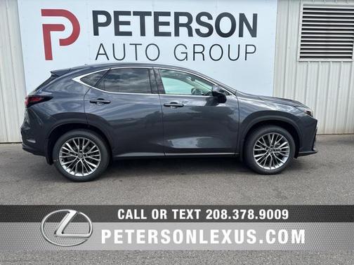 2025 Lexus NX 350 Luxury