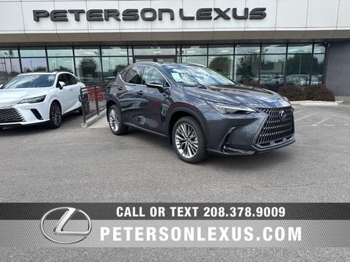 2025 Lexus NX 350 Luxury