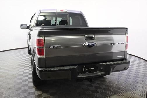 2013 Ford F-150 Platinum