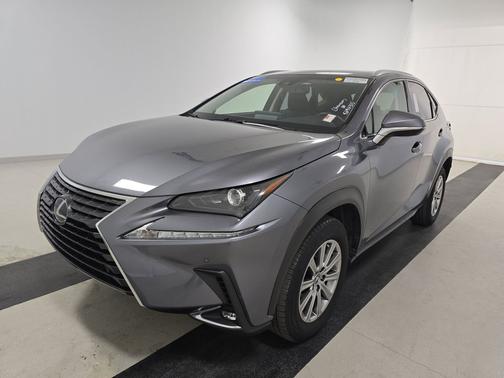 Nebula Gray Pearl 2019 Lexus NX 300 NX 300 FWD