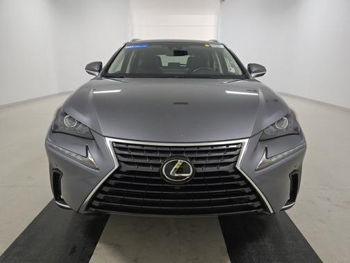 Nebula Gray Pearl 2019 Lexus NX 300 NX 300 FWD
