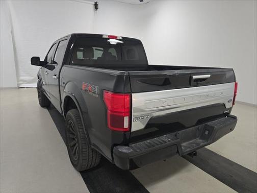 2020 Ford F-150 Platinum