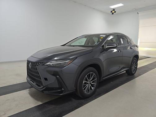 Cloudburst Gray 2025 Lexus NX 350 NX 350 Premium AWD