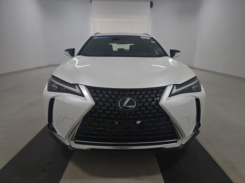 2022 Lexus UX 250h Luxury