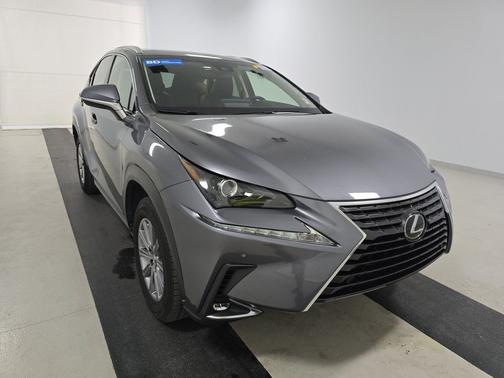 Nebula Gray Pearl 2019 Lexus NX 300 NX 300 FWD