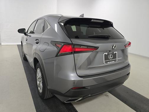 Nebula Gray Pearl 2019 Lexus NX 300 NX 300 FWD