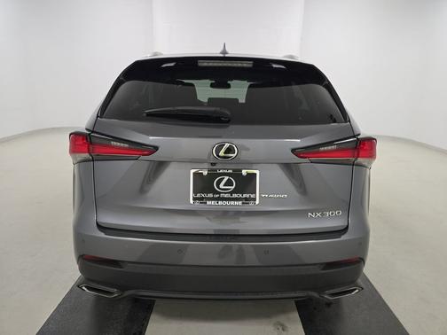 Nebula Gray Pearl 2019 Lexus NX 300 NX 300 FWD