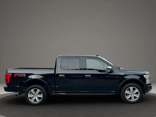 Agate Black Metallic 2019 Ford F-150 Platinum