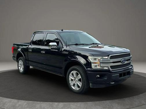 Agate Black Metallic 2019 Ford F-150 Platinum