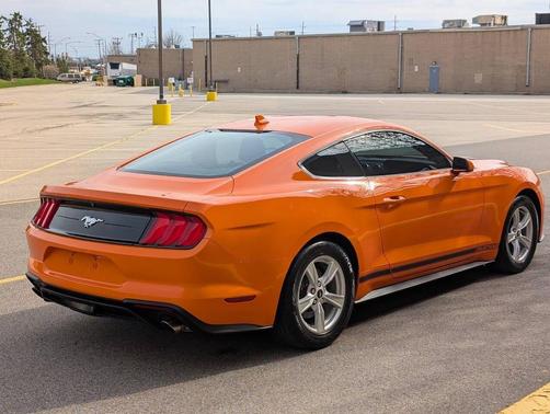Twister Orange 2020 Ford Mustang EcoBoost