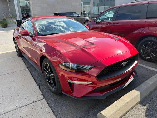RAPID RED MET TINTED CC 2020 Ford Mustang EcoBoost Premium