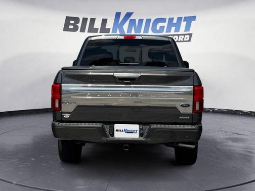 MAGNETIC 2019 Ford F-150 PLATINUM