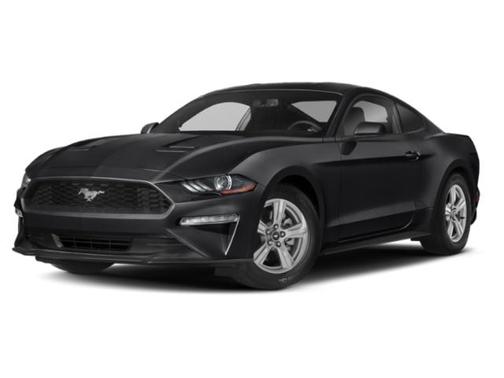 2019 Ford Mustang Bullitt