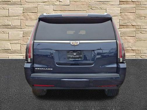 2019 Cadillac Escalade ESV Platinum