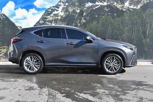 2024 Lexus NX 350 Luxury