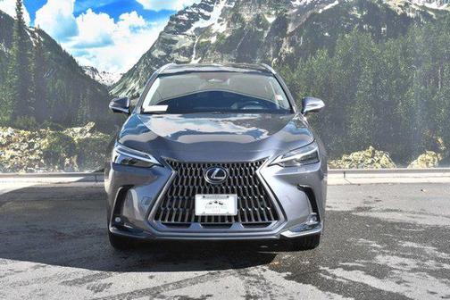 2024 Lexus NX 350 Luxury
