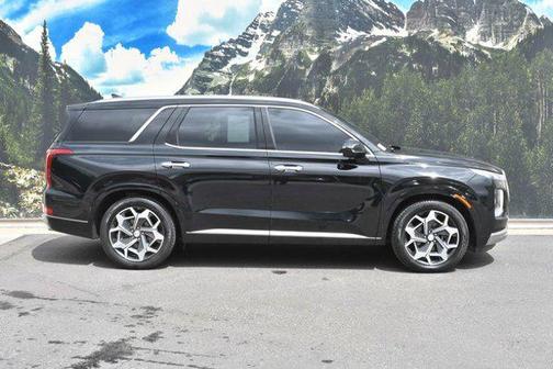 Abyss Black Pearl 2022 Hyundai PALISADE Calligraphy