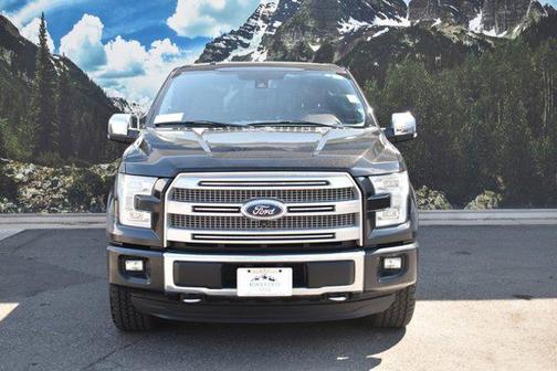 2015 Ford F-150 Platinum