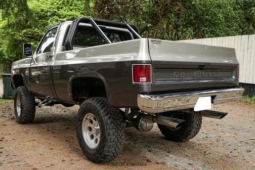 Silver/Charcoal 1979 Chevrolet C10/K10 Base