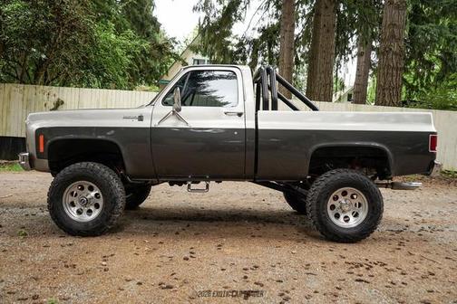 Silver/Charcoal 1979 Chevrolet C10/K10 Base