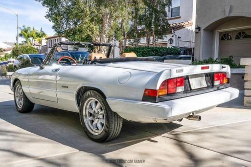 1989 Alfa Romeo Spider 