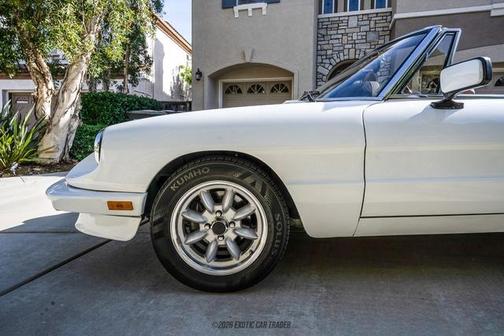 1989 Alfa Romeo Spider 