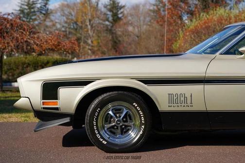 1972 Ford Mustang Base