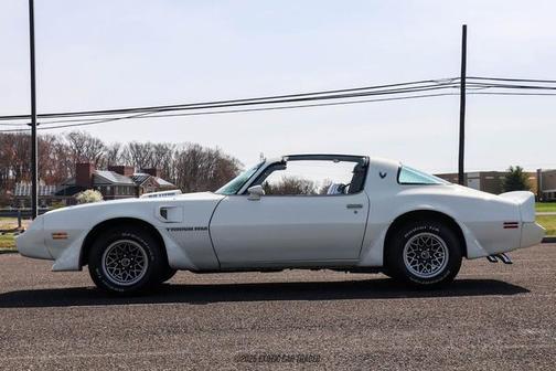 1979 Pontiac Firebird Trans Am