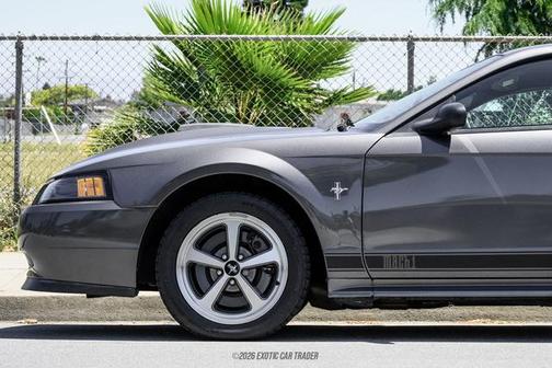 Dark Shadow Gray 2003 Ford Mustang Mach I